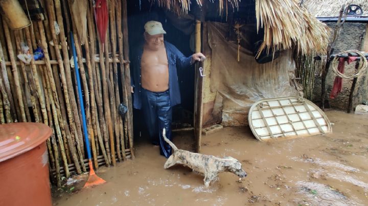 Tormenta Tropical Grace deja bajo el agua a cultivos de Dzonotchel, Yucatán