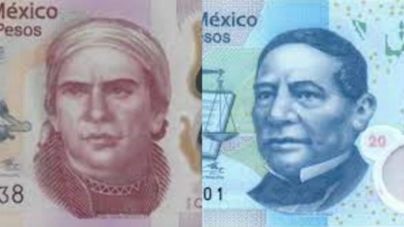 Así serán los nuevos billetes de 20 y 50 pesos de Banxico: FOTOS