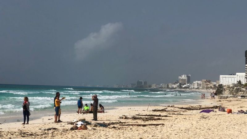 Sargazo sin ahuyentar al turismo; Cancún y Tulum, las playas favoritas para los bañistas