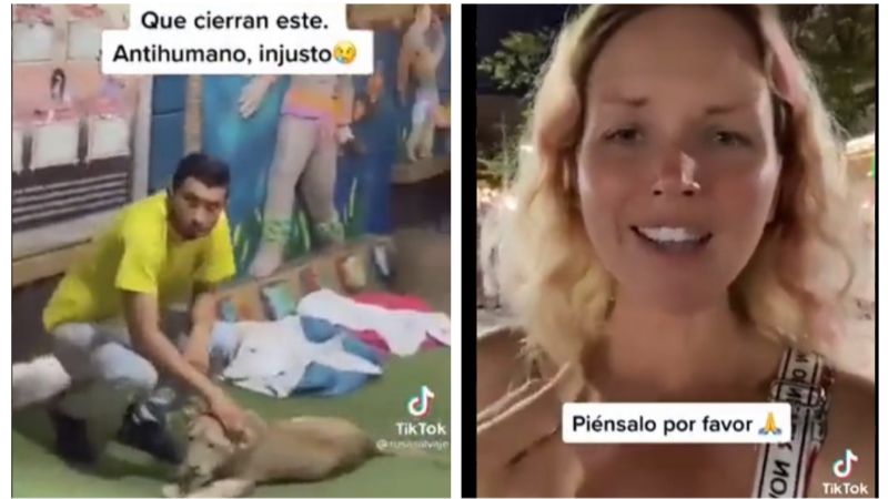 Activistas piden detener explotación de animales silvestres en Playa del Carmen