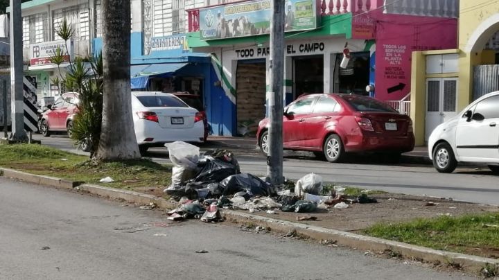 Deficiencia en servicio de recoja genera acumulación de basura en Felipe Carrillo Puerto