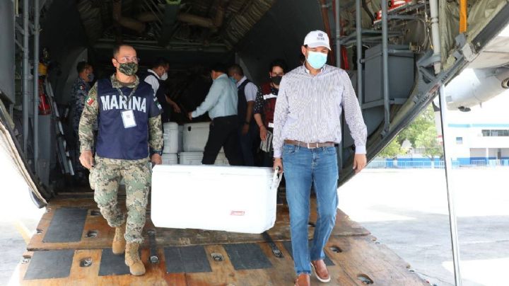 Yucatán recibe más de 336 mil dosis contra el COVID-19 de la farmacéutica AstraZeneca