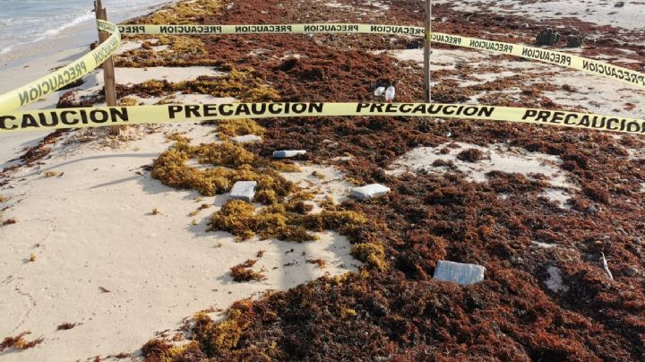 Ejército Mexicano asegura cinco paquetes de cocaína en una playa de Cozumel