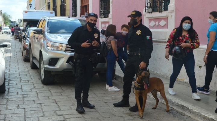 Incidencia delictiva en Campeche, al alza en el último año: ENVIPE