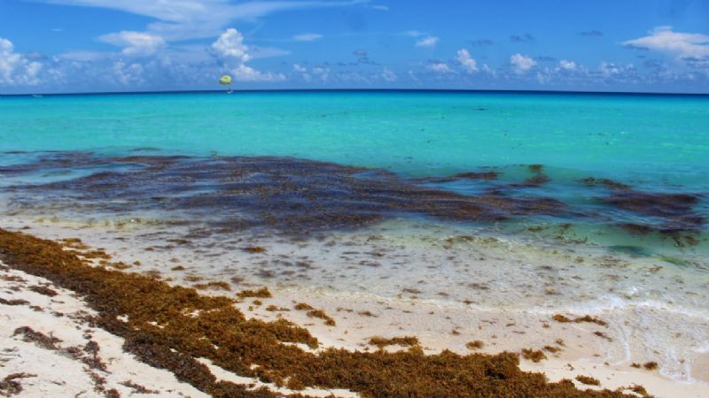 Clima Cancún: Se espera cielo nublado en la Península de Yucatán