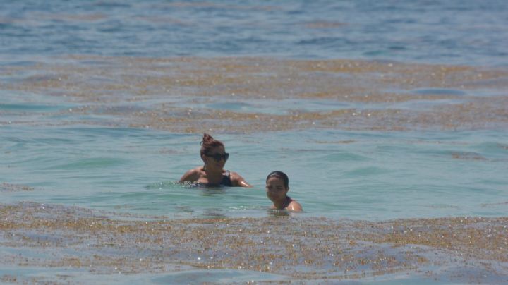 Pese a recale masivo de sargazo, visitantes llegan las playas de Puerto Morelos