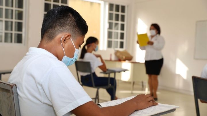Cofepris cierra tres escuelas en Cancún y Playa del Carmen por rebasar aforo permitido