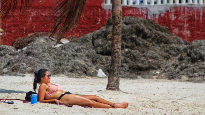 Estas son las 18 playas que están libres de sargazo en Quintana Roo