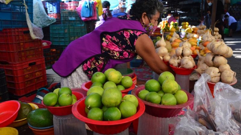 Incrementa precio de limón en Campeche; productores venden el kilo hasta en 30 pesos