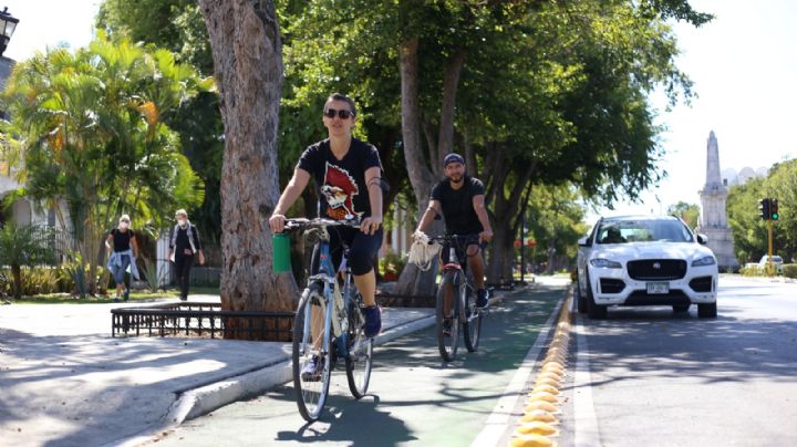 Mérida: Instituto de Movilidad refuerza seguridad en ciclovía de Paseo de Montejo