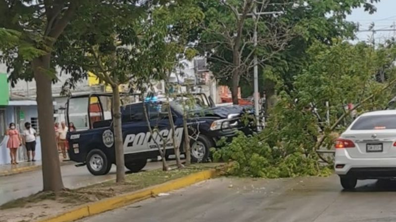Patrulla de la policía choca contra un árbol en Playa del Carmen