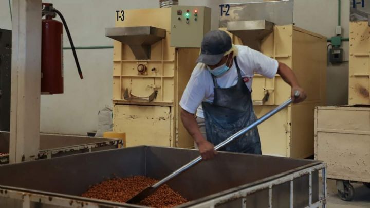 Campeche necesita aumentar la productividad empresarial: SEDECO