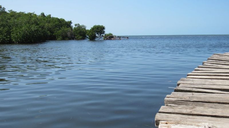 Conoce San Felipe, espacio para convivir con la naturaleza en Yucatán: FOTORREPORTAJE
