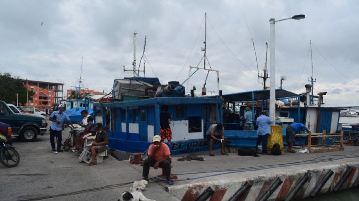 Pescadores de Progreso prevén crisis económica por 'ola' de desempleos
