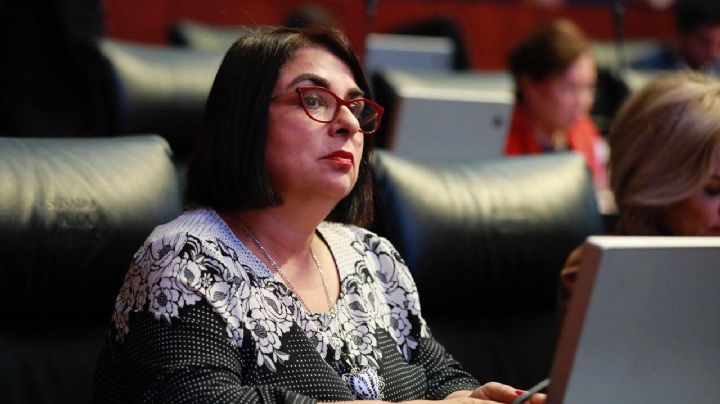 Senadora de Morena afirma que no habrá ruptura en su bancada ni Monreal será destituido