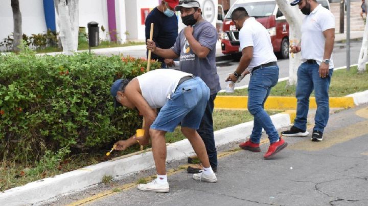 Pese al COVID-19, Ayuntamiento de Campeche entrega 750 espacios para el 'Paseo de Reyes'