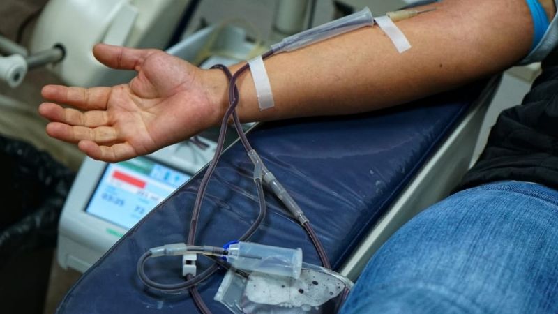 Campechanos venden su sangre a 700 pesos, pese a ser delito federal: CETS
