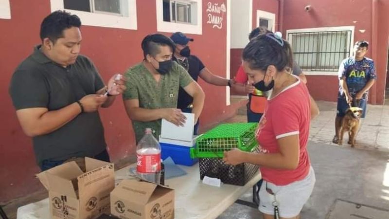 Campaña de esterilización de mascotas genera interés en habitantes de Baca