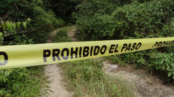 Apicultor reporta hallazgo de un cadáver en estado de putrefacción en Felipe Carrillo Puerto