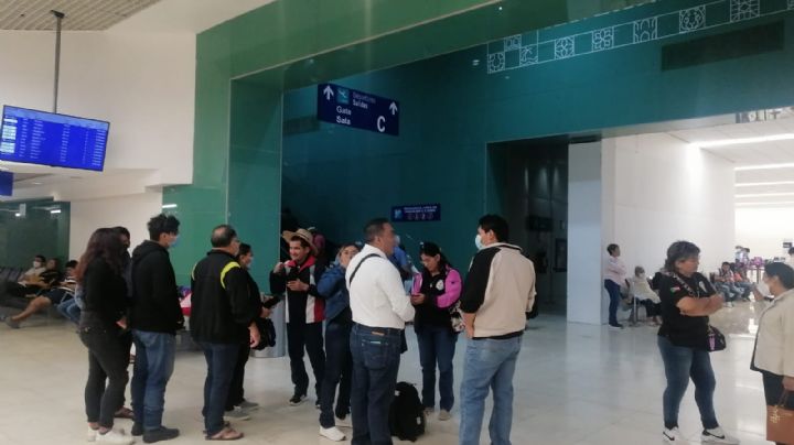 Volaris vuelve a cancelar vuelo CDMX-Mérida