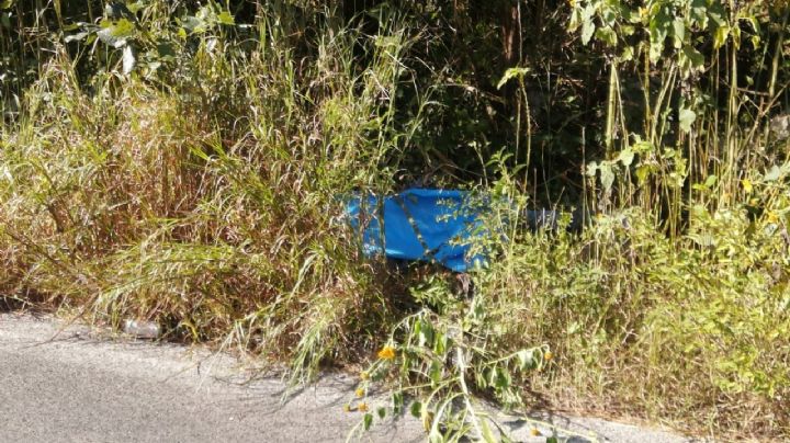 Muere motociclista tras ser embestido por un camión en la carretera Motul-Cacalchén