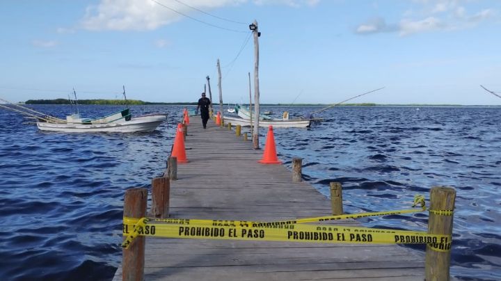 'Fiebre del pulpo' cobra otra víctima; muere pescador tras caer de su alijo en San Felipe