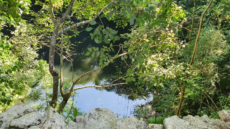 Hallan el cadáver de un hombre en un cenote de Uayma; llevaba 24 horas desaparecido