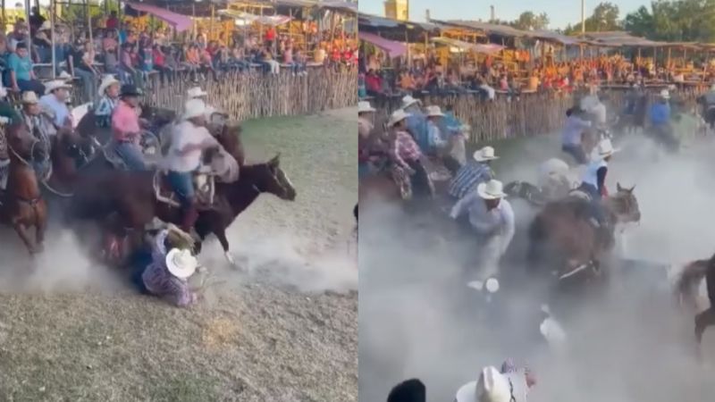 Caballos 'chocan´ durante torneo de lazo en Telchac Pueblo; Red Animal Yucatán condena acto: VIDEO