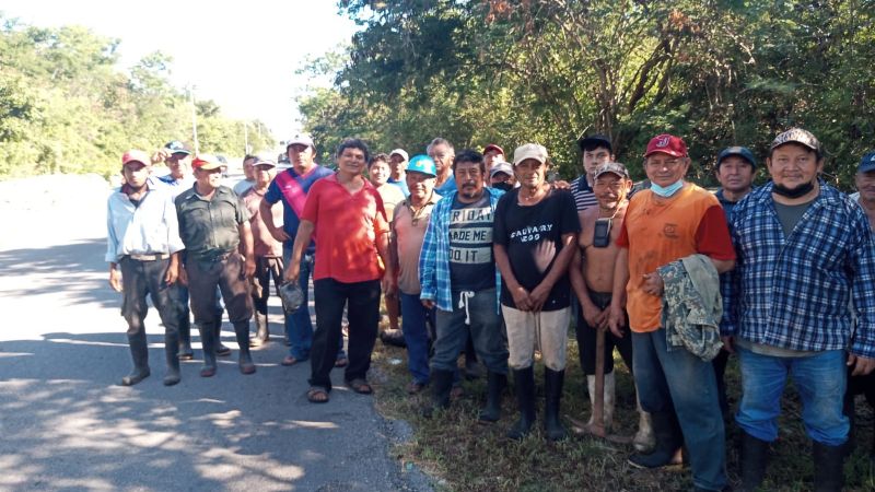 Plantan 400 árboles de cedro del programa Sembrando Vida en Baca, Yucatán