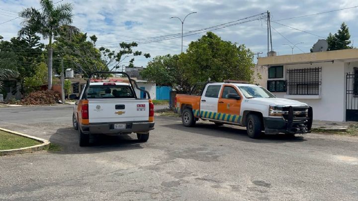 Tormenta Tropical Lisa: Protección Civil abre 31 refugios al Sur de Quintana Roo