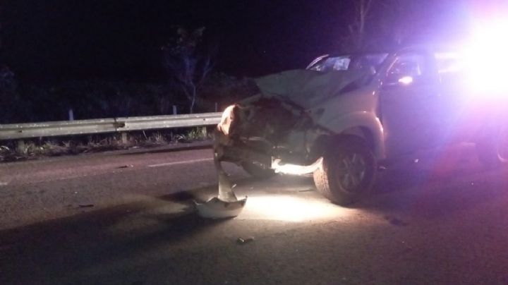 Accidente vial deja saldo de cuatro lesionados y dos vacas muertas en Bacalar