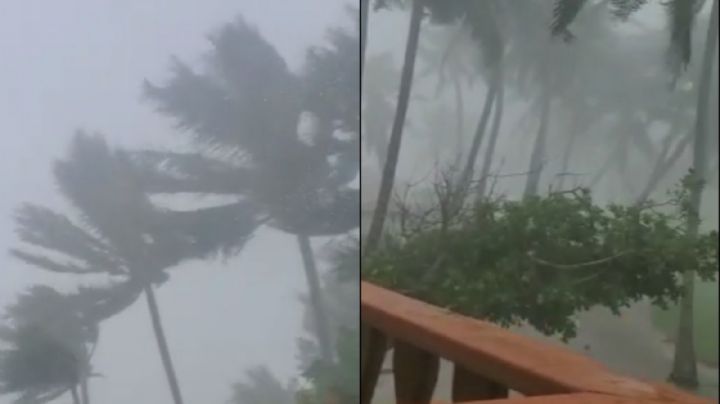Lisa golpea a Islas Turneffe, Belice, con vientos de Tormenta Tropical: VIDEO