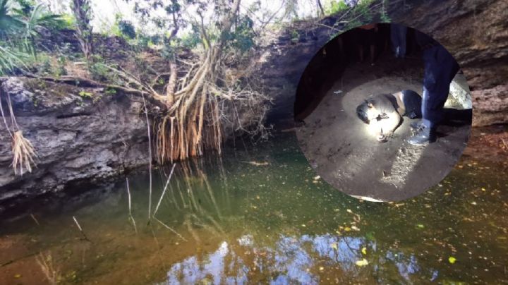 Hombre se lanza a cenote en Tizimín; se encontraba bajo los efectos de sustancias nocivas