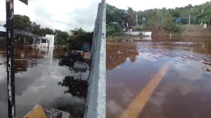 Lluvias provocan inundaciones en Celestún; Ría subió su nivel los últimos días