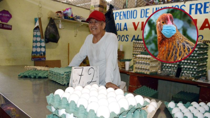 Gripe aviar en Yucatán ocasiona aumento en el precio del huevo y pollo en Campeche