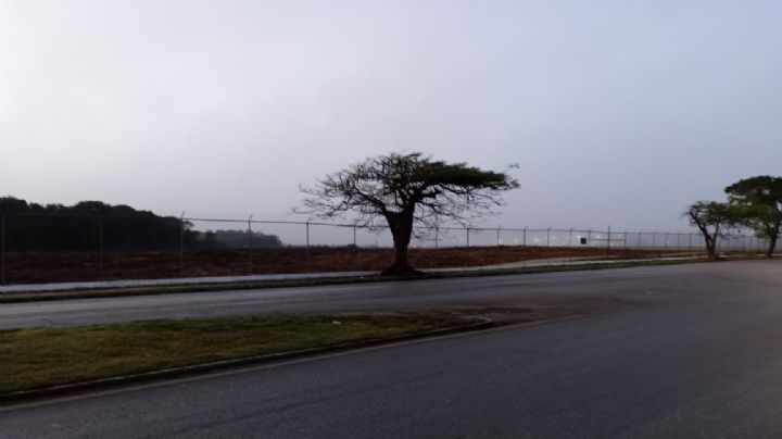 Neblina causa retraso y cancelación de vuelos en el aeropuerto de Mérida