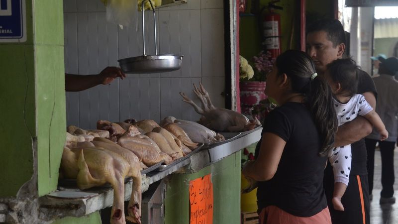 Gripe aviar en Yucatán provoca escasez y alza en los precios del pollo en Cancún