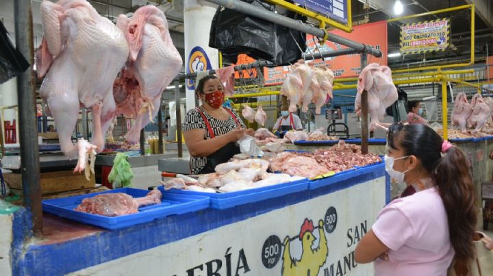 Más de 20 mil aves de Yucatán, en peligro por brote de influenza en México