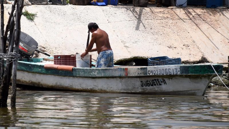 Senado exhorta al gobierno de Campeche combatir a 'piratas modernos'