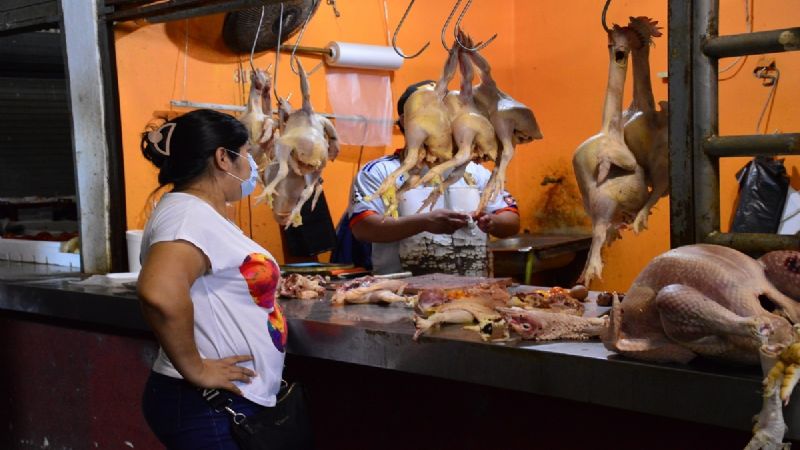 Alza al precio del pollo y huevo en Campeche, injustificado: Secretaría de Desarrollo Agropecuario