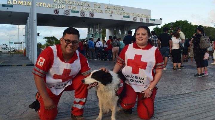 Llega Dusty a Progreso; es el único perro rescatista del mar en México