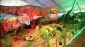 Familias de Tizimín disfrutan de la Expo Dinosaurios: FOTOS