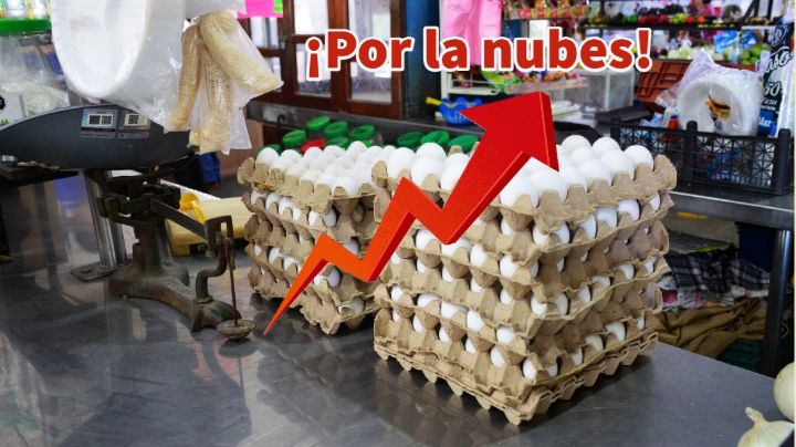 Precio del huevo en Campeche, ¡por las 'nubes'!; la reja se vende hasta en 100 pesos