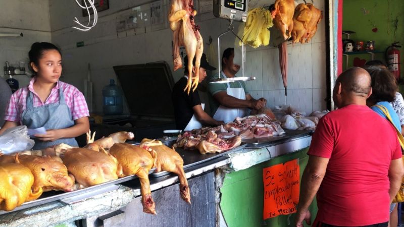 Precio del pollo en Cancún, sin aumento tras el brote de gripe aviar en Yucatán: EN VIVO