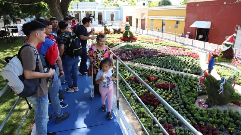 Paseo navideño de las flores en Mérida recibe a sus primeros visitantes: FOTOS