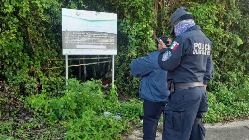 Hallan cuerpo putrefacto en Cozumel; sospechan suicidio