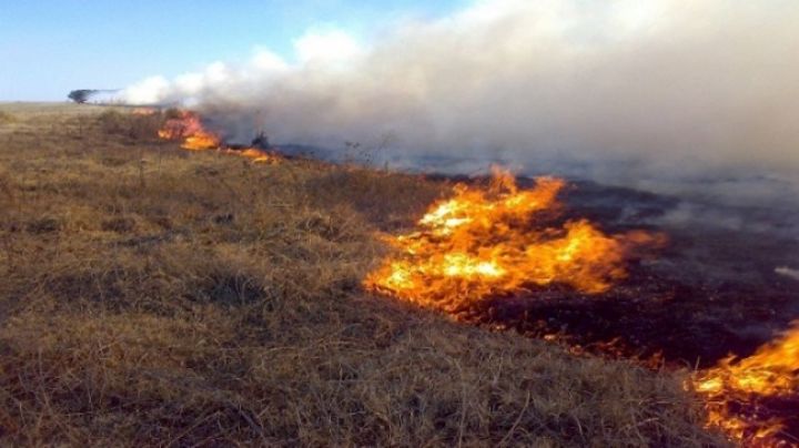 Incendio forestal arrasa con 500 mil hectáreas en Argentina