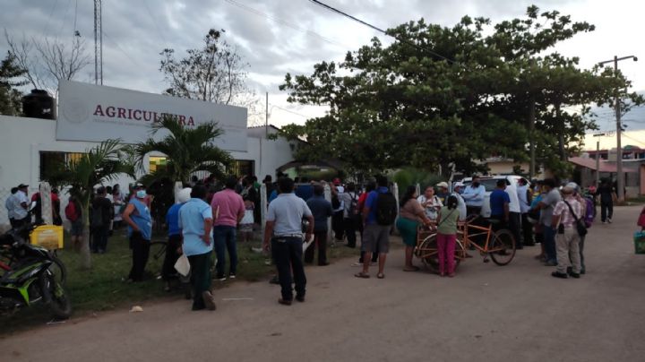 Ejidatarios esperan más de 7 horas para inscribirse a ProCampo en Quintana Roo