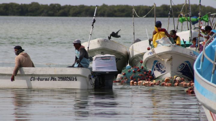 Continúa búsqueda de pescador en Celestún tras cinco días desaparecido