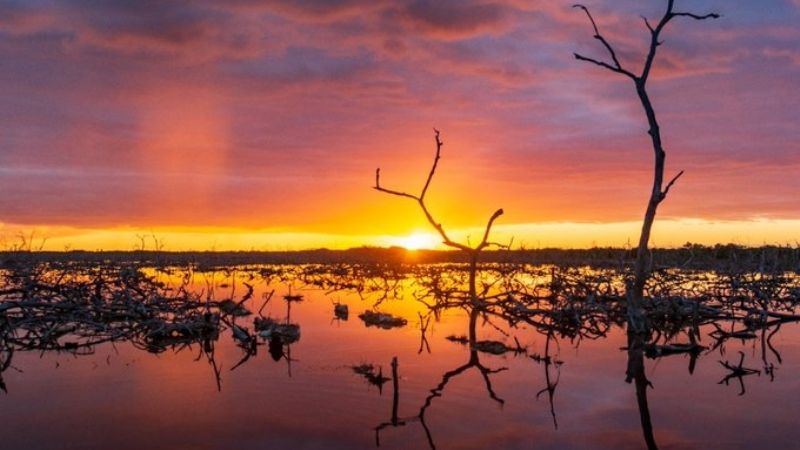 Humedales de Yucatán reciben reconocimiento internacional por su importancia en el ecosistema
